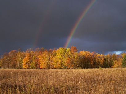 County M Rainbow